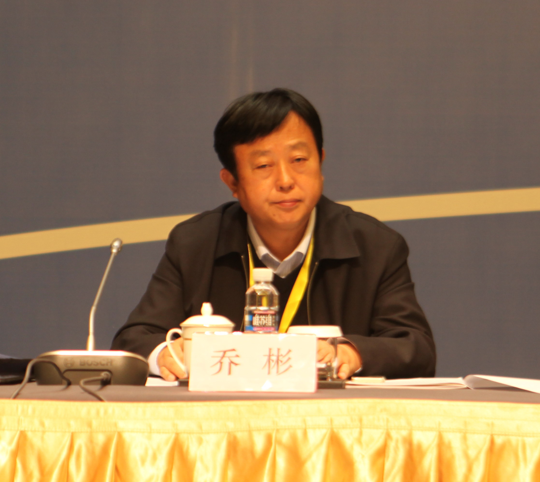协会常务副会长乔彬主持会议